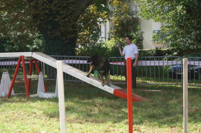 foire-haricots 2011-09-17et18